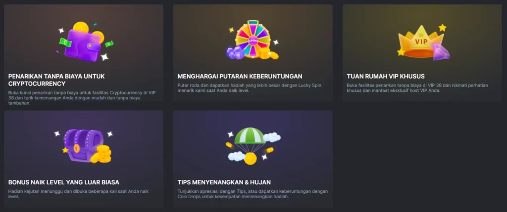 Jika Anda sering menjadi pemain BC.Game, Anda mungkin tertarik dengan program VIP.